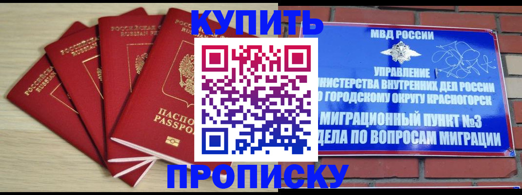 пропишу в квартире в Старой Руссе